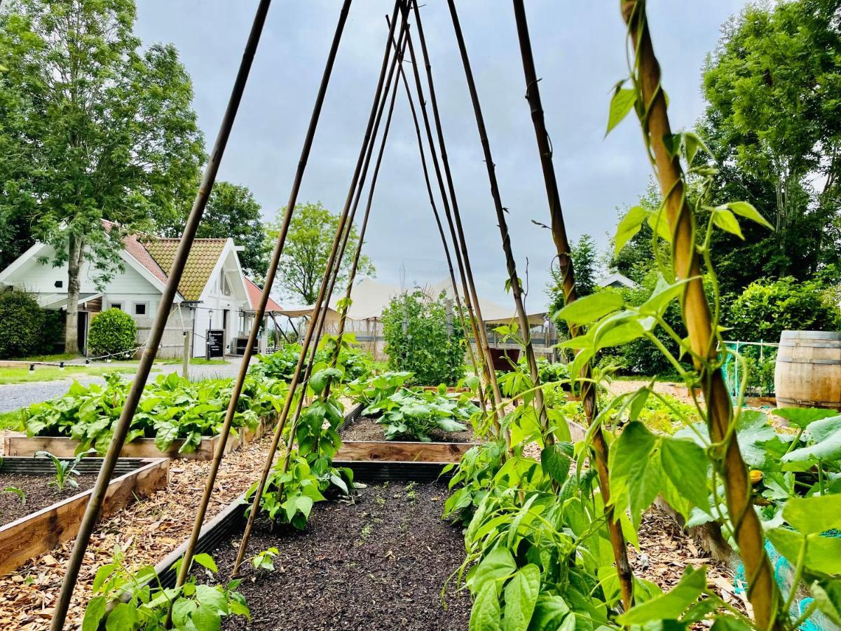 Vakantiehuis luxe - vakantiepark de Schreiershoek Dokkum Buitenkant foto