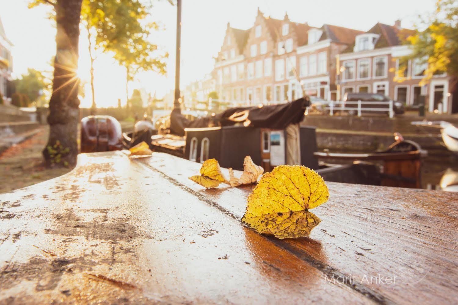 Vakantiehuis luxe - vakantiepark de Schreiershoek Dokkum Buitenkant foto